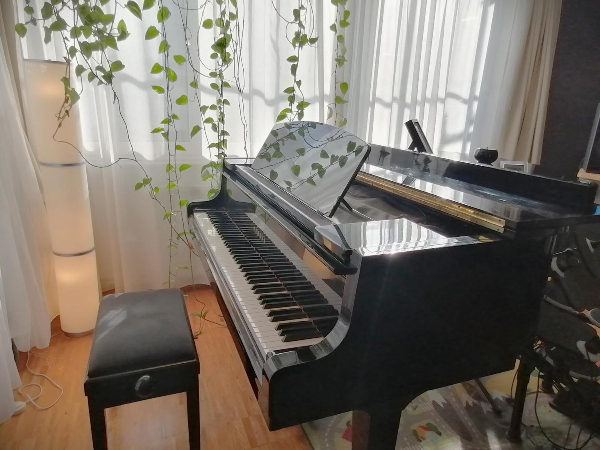 Apartment Lovely Flat With Grand Piano, Family Friendly Berlin